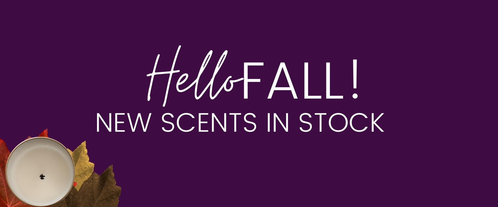 My  Pumpkin Spice Life